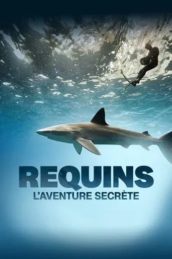 Sharks: The Secret Adventure movie poster - Rated 9/10