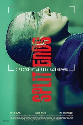 Split Ends movie poster - Entertainment content