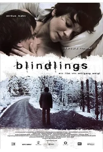 Blind Spot movie poster - Entertainment content