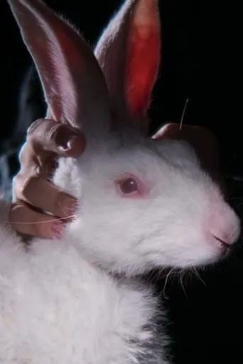 Rabbit 314 movie poster - Entertainment content