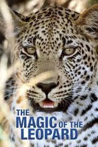 The Magic of the Leopard movie poster - Rated 6/10
