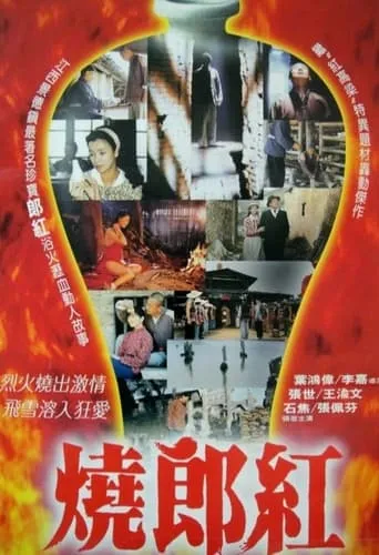 Story of Langhong movie poster - Entertainment content