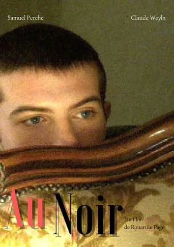 Au noir movie poster - Entertainment content