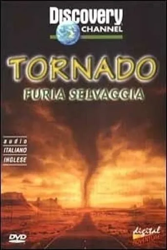 Tornado Chasers movie poster - Entertainment content