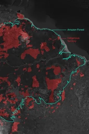 Gold Mining and Violence in the Amazon Rainforest movie poster - Entertainment content