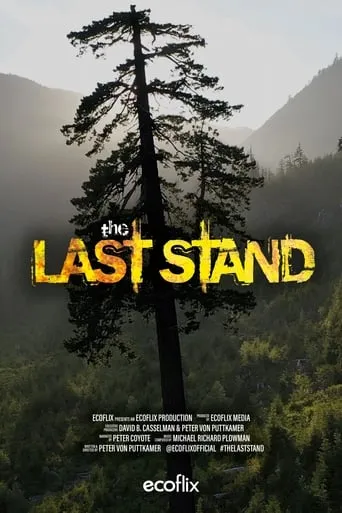 The Last Stand movie poster - Entertainment content