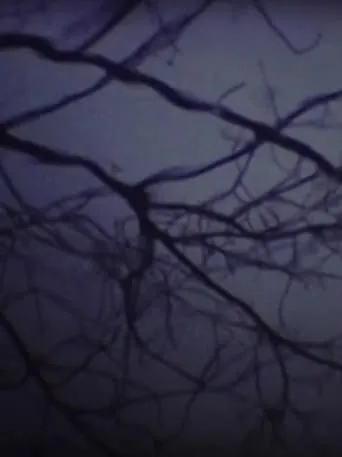 The Luminous Undergrowth movie poster - Entertainment content