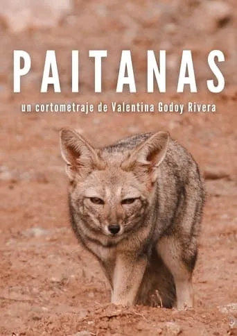 Paitanas movie poster - Entertainment content