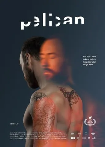 Pelican movie poster - Entertainment content