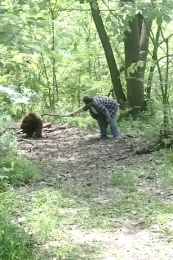 Bigfoot movie poster - Entertainment content