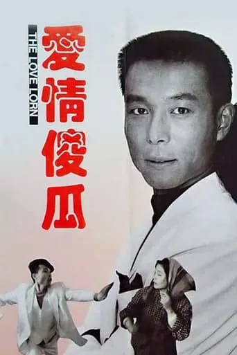 爱情傻瓜 movie poster - Rated 6/10