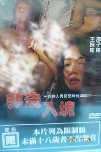 Illegal Entry movie poster - Rated 6.5/10