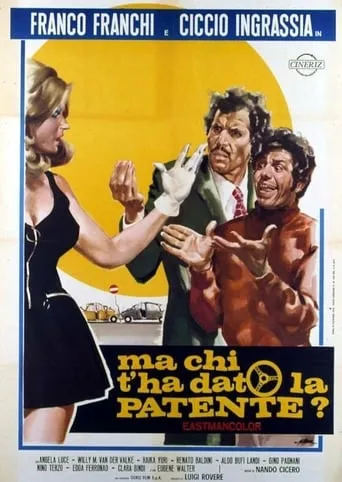 Who Gave You the License? movie poster - Rated 6.5/10