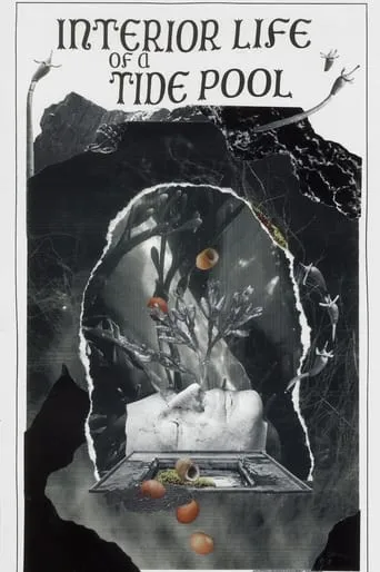 Interior Life of a Tidepool movie poster - Entertainment content