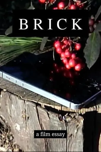 Brick - A film essay movie poster - Entertainment content