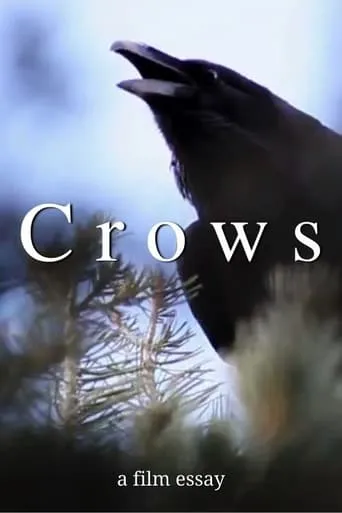 Crows - A film essay movie poster - Entertainment content