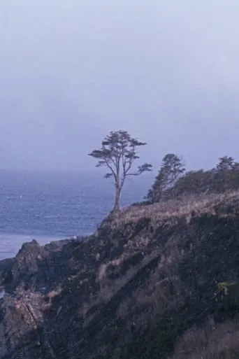 The Tree movie poster - Entertainment content