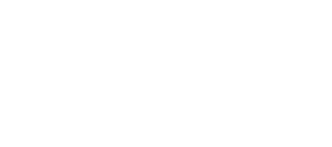 Fancy Dance