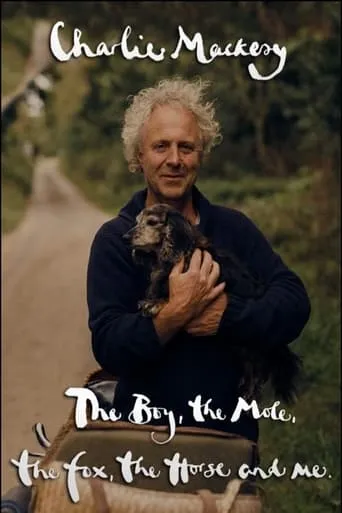Charlie Mackesy: The Boy, the Mole, the Fox, the Horse and Me movie poster - Rated 9.5/10