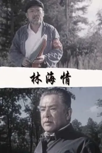 林海情 movie poster - Entertainment content