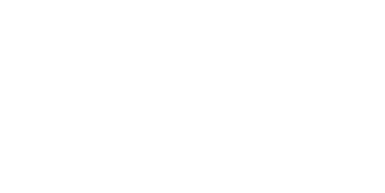 Detective Chen