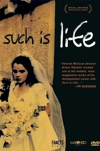 Such is Life movie poster - Rated 5.5/10