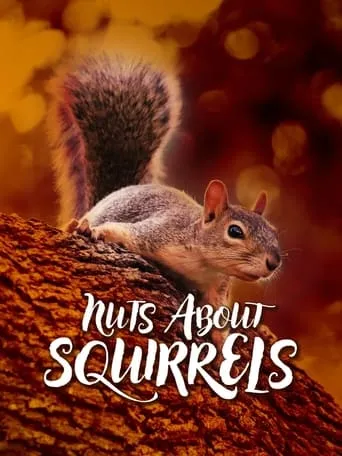Nuts About Squirrels movie poster - Entertainment content