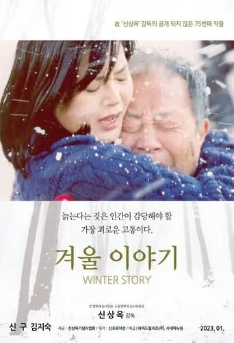 Winter Story movie poster - Rated 4/10