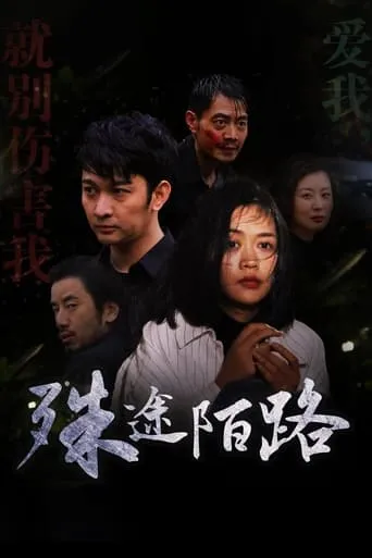 殊途陌路 movie poster - Entertainment content