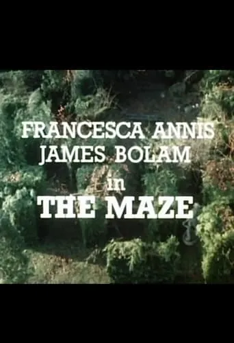 The Maze movie poster - Entertainment content