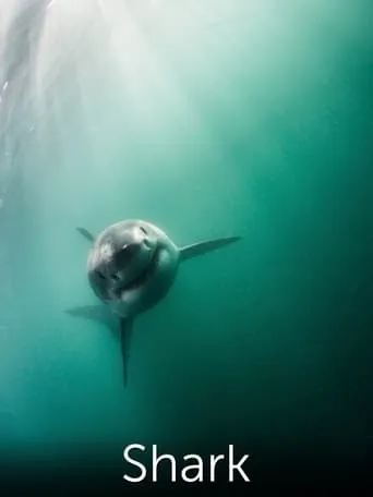 Shark: Beneath the Surface movie poster - Entertainment content