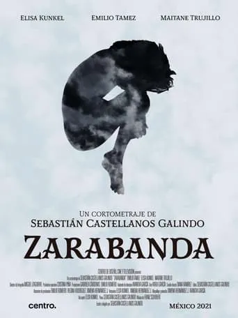 Zarabanda movie poster - Rated 7.5/10