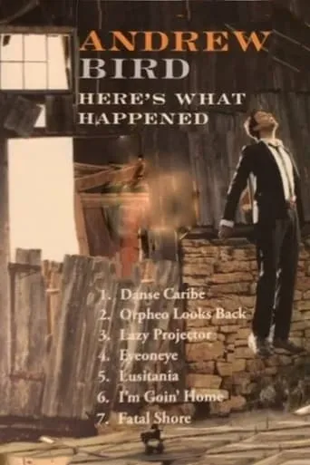 Andrew Bird: Here's What Happened movie poster - Entertainment content