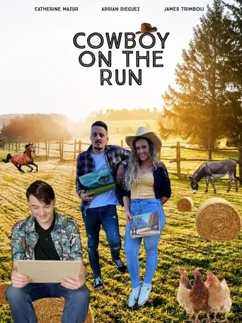 Cowboy on the Run movie poster - Entertainment content