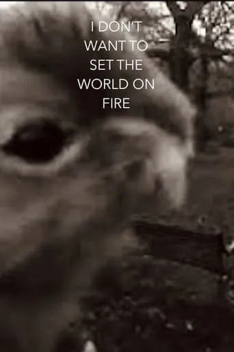 I Don't Want To Set The World On Fire movie poster - Rated 4/10