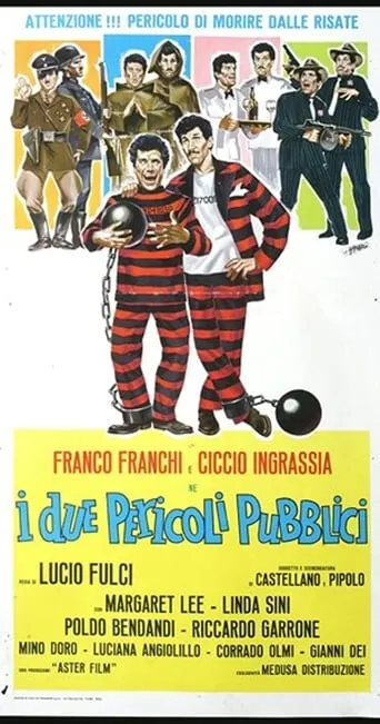 Two Public Enemies movie poster - Rated 5.5/10