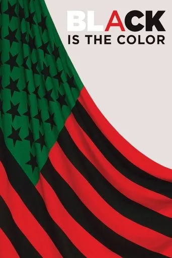 Black Is the Color: African-American Artists and Segregation movie poster - Entertainment content