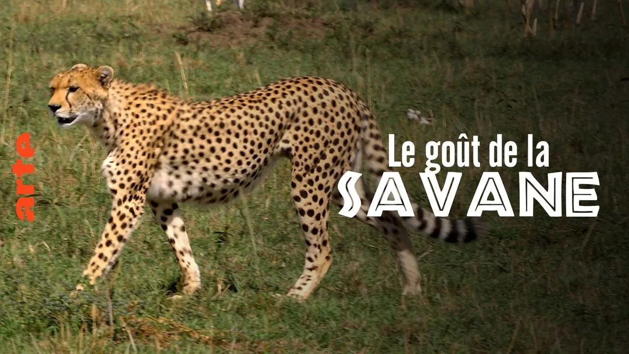 Le Goût de la savane - Herbivores et Carnivores: Festins croisés