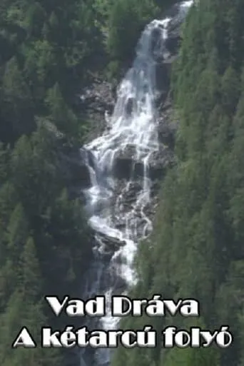 Vad Dráva - A kétarcú folyó movie poster - Entertainment content
