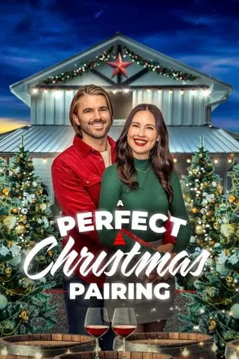 A Perfect Christmas Pairing movie poster - Rated 5.9/10