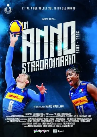 Un anno straordinario movie poster - Entertainment content