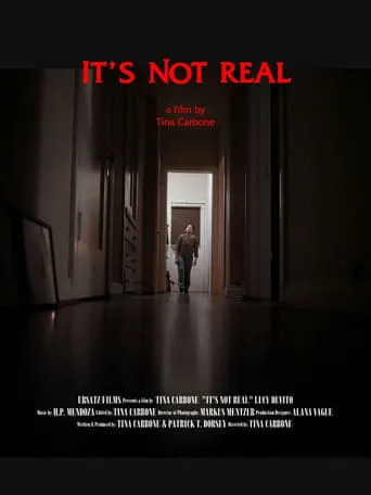 It's Not Real movie poster - Entertainment content