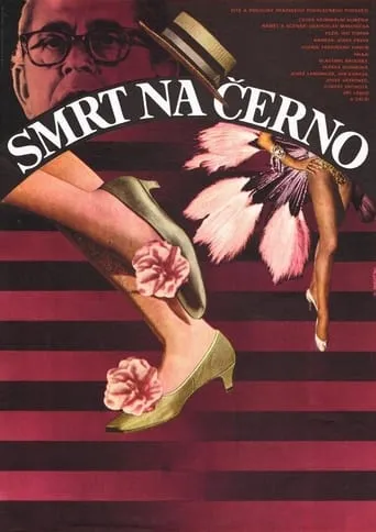 Smrt na černo movie poster - Entertainment content