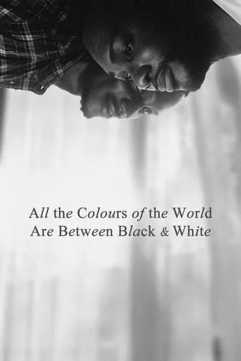 All the Colours of the World Are Between Black and White movie poster - Rated 7/10