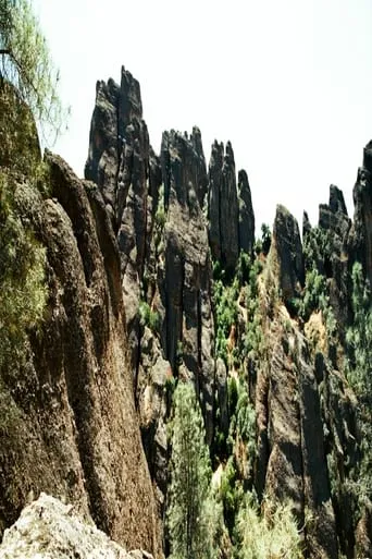Pinnacles movie poster - Rated 9/10