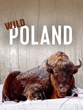 Wild Poland movie poster - Rated 9/10