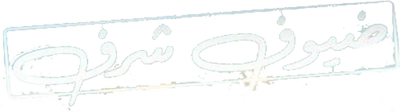 ضيوف شرف