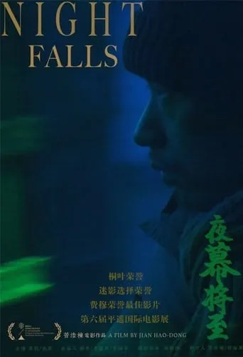 Night Falls movie poster - Rated 6/10
