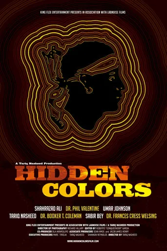 Hidden Colors movie poster - Rated 8.2/10