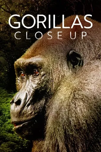 Gorillas Close Up movie poster - Rated 6/10